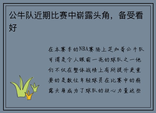公牛队近期比赛中崭露头角，备受看好